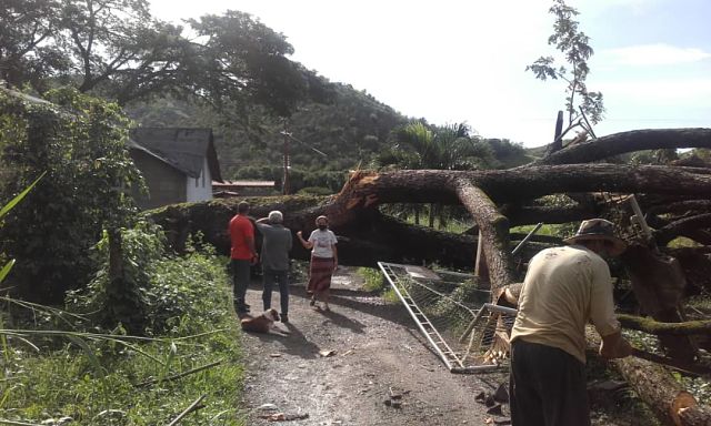 GUÁRICO - ARBOL CAIDO - LOS BAGRES 