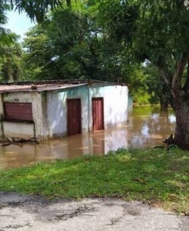 Zulia 