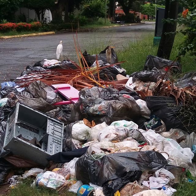 Base Aragua