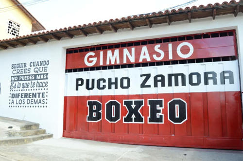 zaraza gimnasio boxeo 