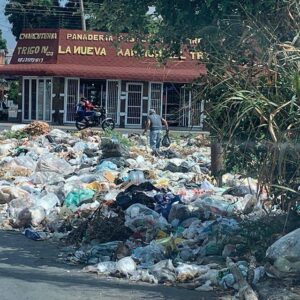 Viven entre la basura