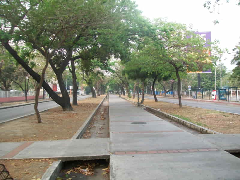 Comunidad