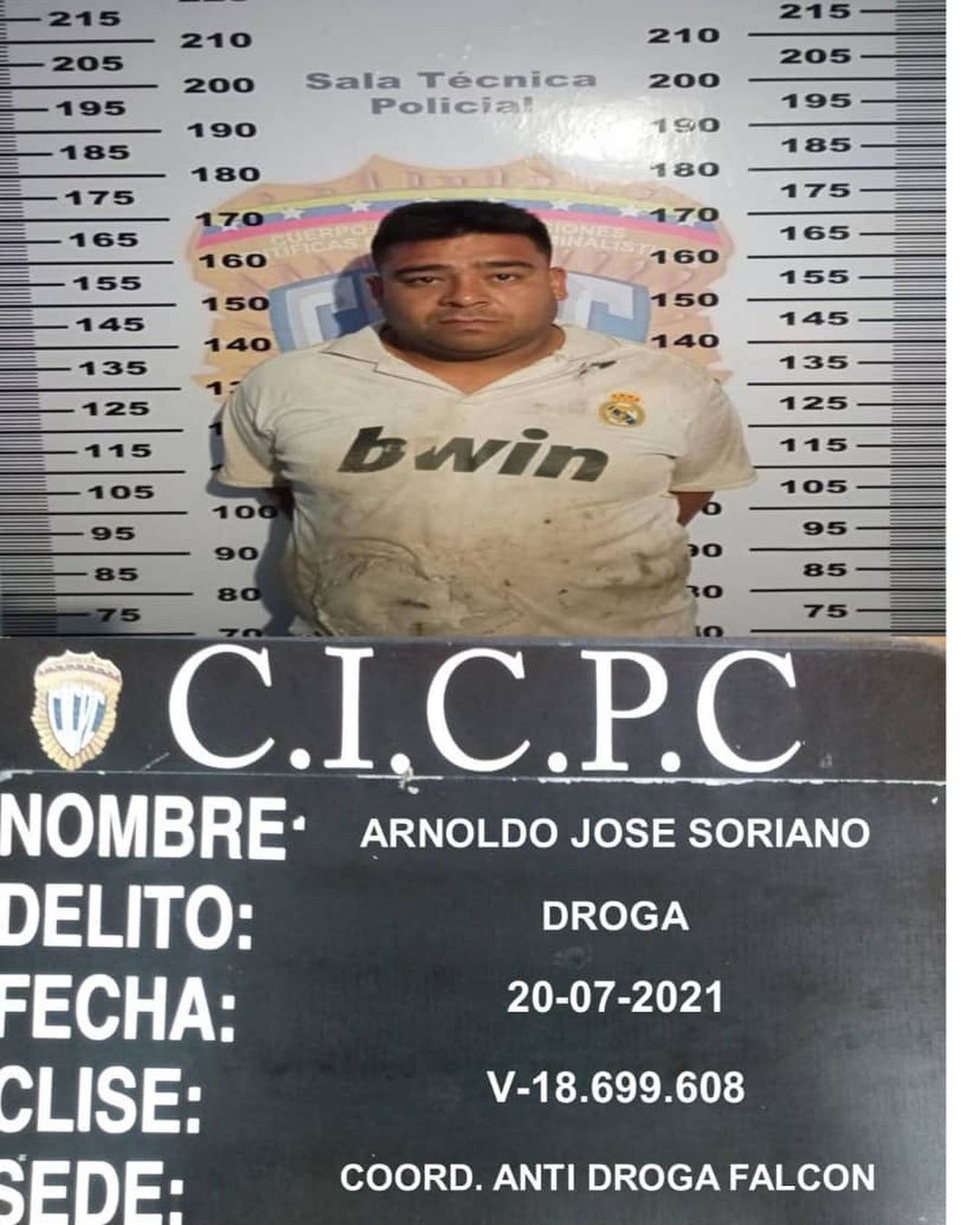 Falcón