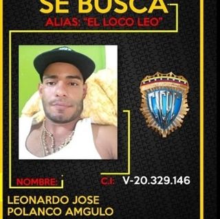 Loco Leo