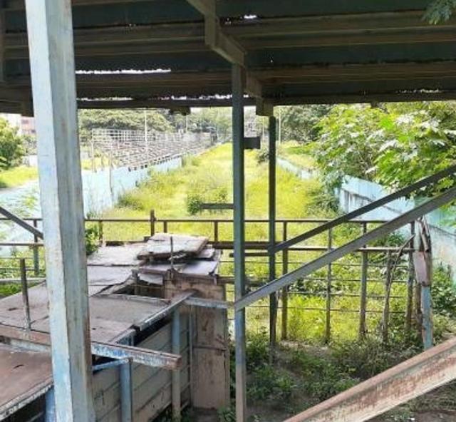 Manga de coleo