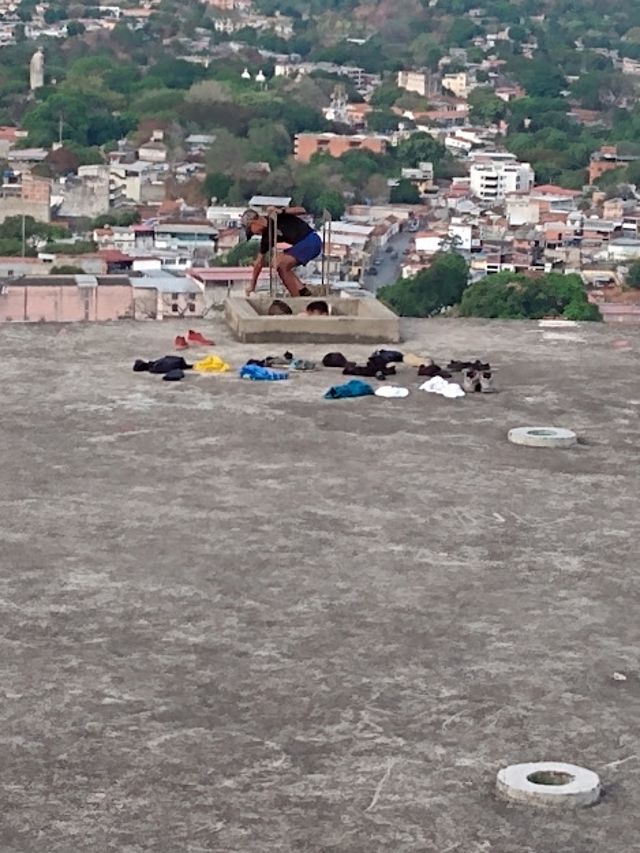 guárico