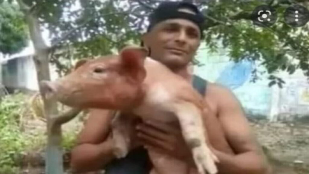 MONSTRUO VIGILANTE Nardy Carolina Mora Rubios