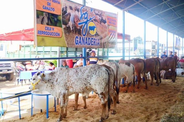 ZARAZA ESTADO GUÁRICO