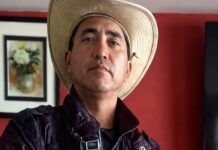 Muere un hombre en Guárico tras ser atacado por abejas